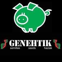 Semillas de Marihuana Genehtik - Sativagrowshop.com