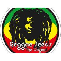 Semillas de Marihuana Reggae Seeds - Sativagrowshop.com