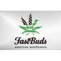 Semillas de Marihuana Fast Buds Seeds - Sativagrowshop.com