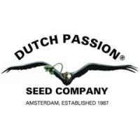 Semillas de Marihuana Dutch Passion - Sativagrowshop.com