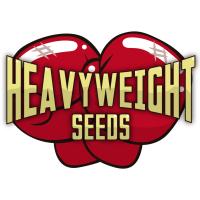 Semillas de Marihuana Heavy Weight Seeds - Sativagrowshop.com