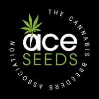 Semillas de Marihuana Ace Seeds - Sativagrowshop.com