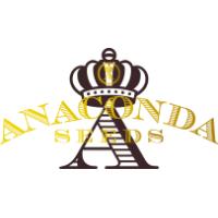 Semillas de Marihuana  Anaconda Seeds - Sativagrowshop.com