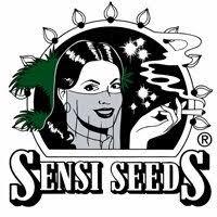 Semillas de Marihuana Sensi Seeds Bank - Sativagrowshop.com