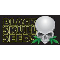Semillas de Marihuana Black Skull - Sativagrowshop.com