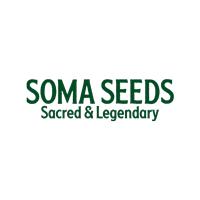 Semillas de Marihuana  Soma Seeds - Sativagrowshop.com