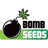 Semillas de Marihuana Bomb Seeds - Sativagrowshop.com
