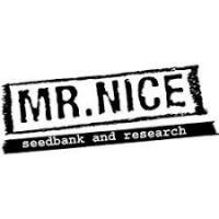 Semillas de Marihuana Mr Nice - Sativagrowshop.com