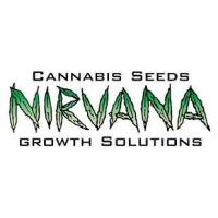 Semillas de Marihuana Nirvana Seeds - Sativagrowshop.com