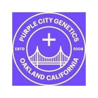 Purple City Genetics