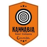 Kannabia Seeds