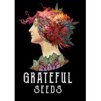 Gratefull Seeds - Sativagrowshop.com