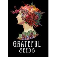 Gratefull Seeds