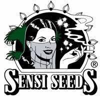Aceite de CBD Sensi Seeds - Sativagrowshop.com