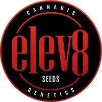 Semillas de Cannabis Eleve8 Seeds - Sativagrowshop.com
