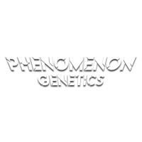 Phenomenom Seeds - Sativagrowshop.com