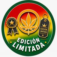 Edición Limitada T.H. Seeds | Genéticas Exclusivas y Coleccionables