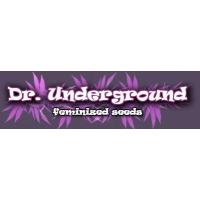 Dr. Underground