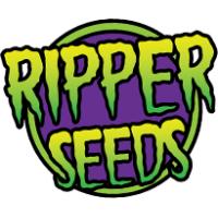 Semillas de Marihuana Ripper Seeds - Sativagrowshop.com