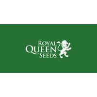 Semillas de Marihuana Royal Queen - Sativagrowshop.com