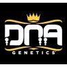 DNA Genetics