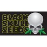 BLACK SKULL