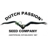 Dutch Passion