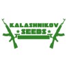 KALASHINICOV SEEDS
