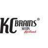 KC BRAINS