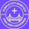 PURPLE CITY GENETICS