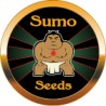 SUMO SEEDS