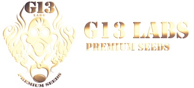 G13 Labs Premium Seeds
