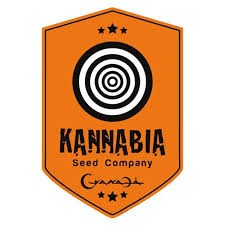 Kannabia Seeds