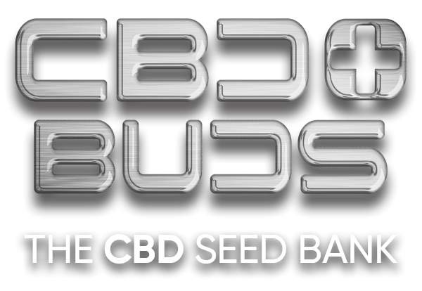 CBD Plus Buds