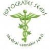 Hippocrates seeds