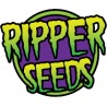 Ripper Seeds