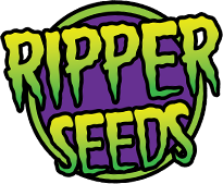 Ripper Seeds