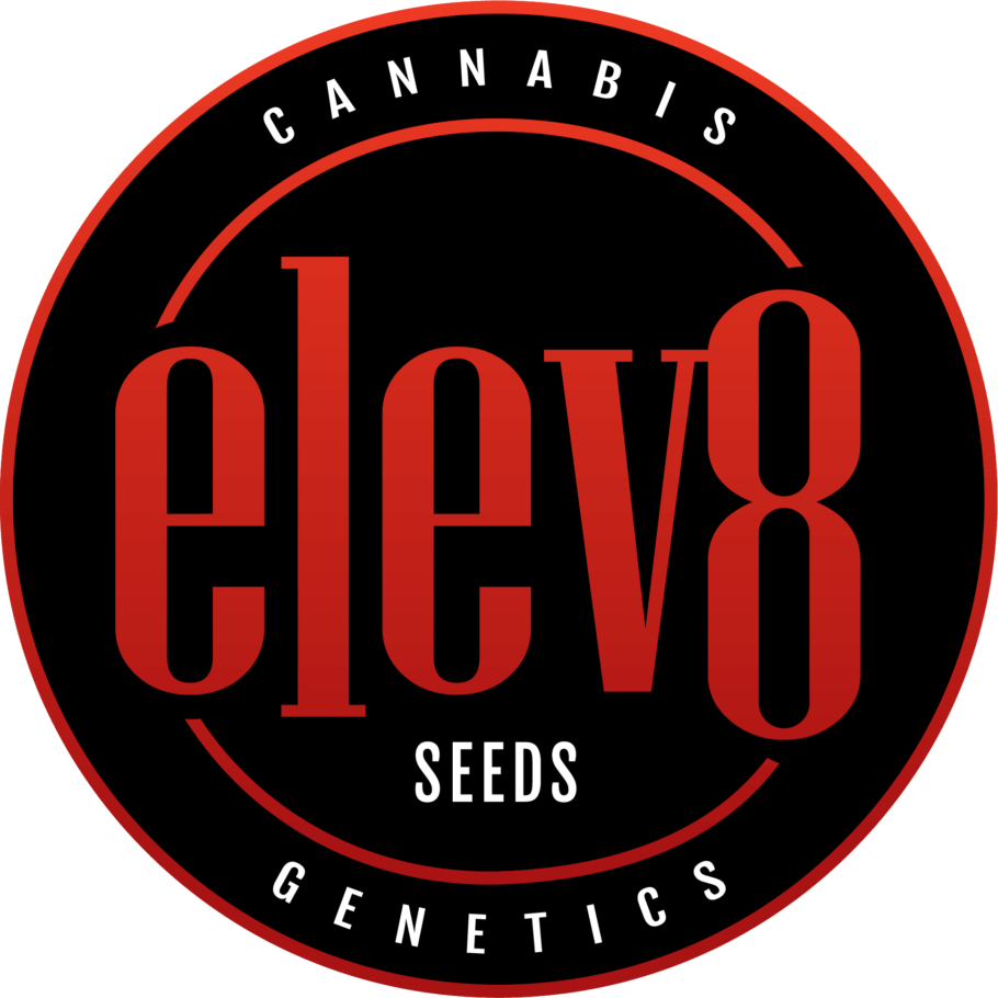Eleve8 Seeds