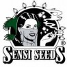 Sensi Seeds Bank