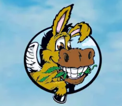 The Flying Burrito CBD