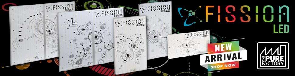 NUEVOS LED FISSION 